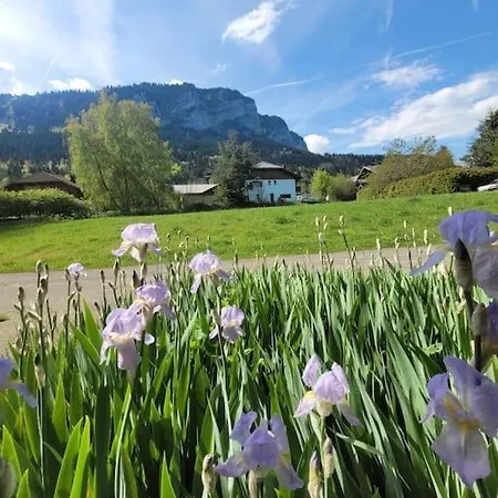 Tres Bel Avec Vue Apartment Thollon-les-Memises