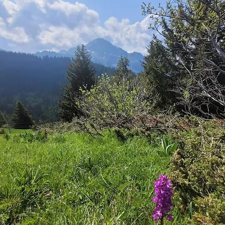 Tres Bel Avec Vue
